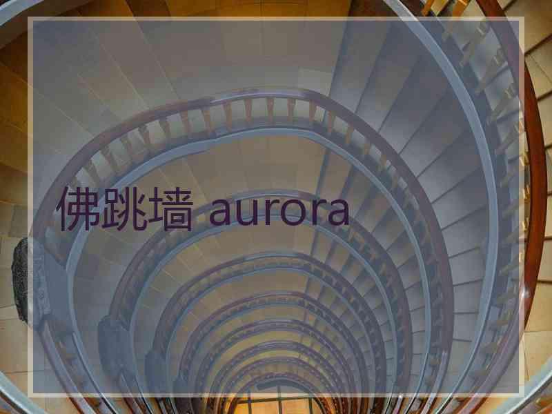 佛跳墙 aurora