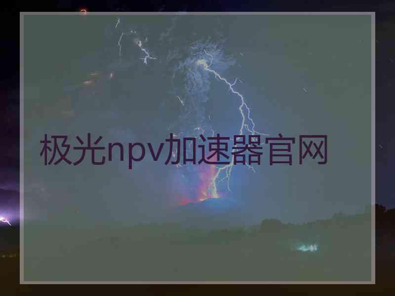 极光npv加速器官网