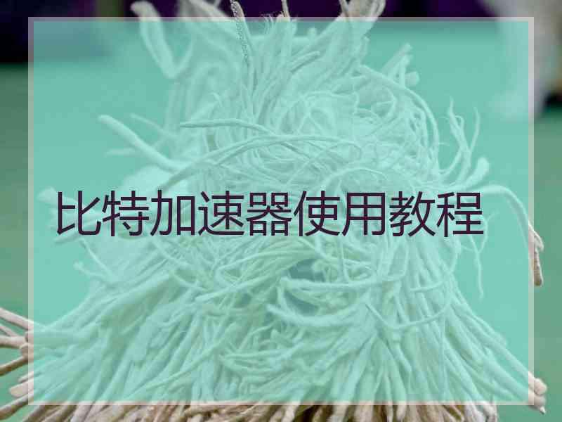 比特加速器使用教程