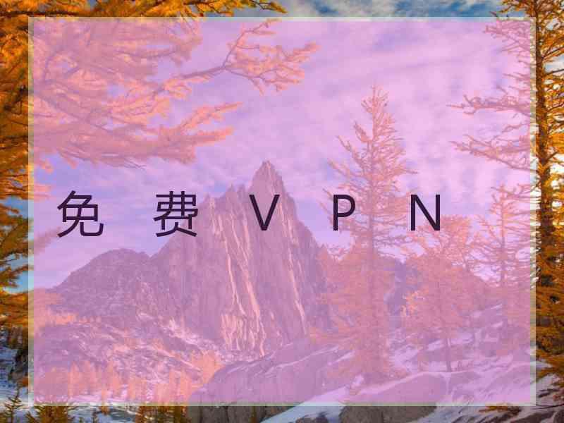 免　费　V　P　N