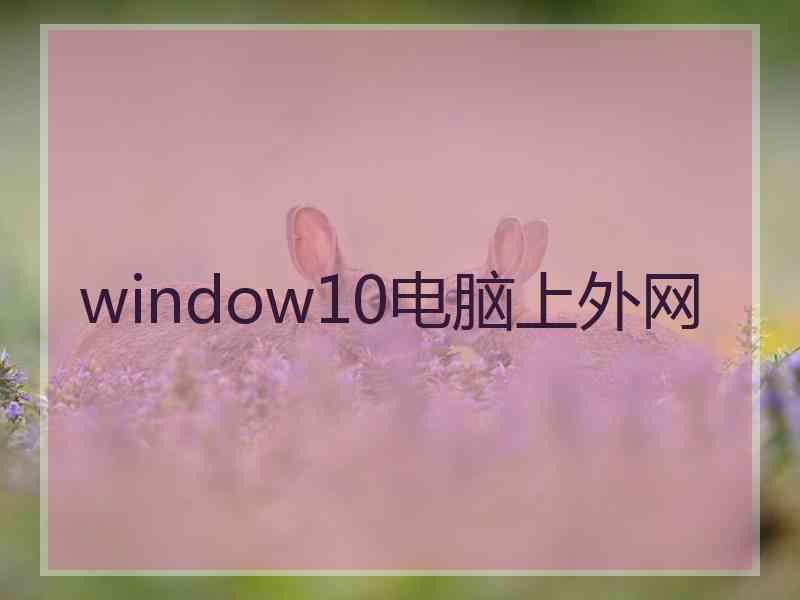 window10电脑上外网