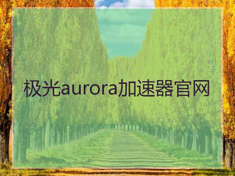 极光aurora加速器官网