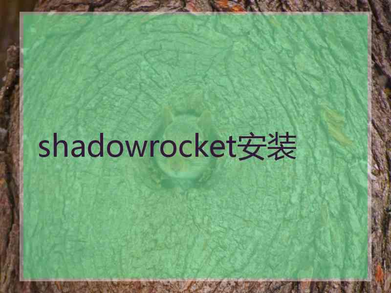 shadowrocket安装