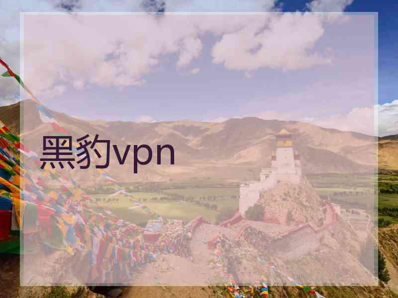 黑豹vpn