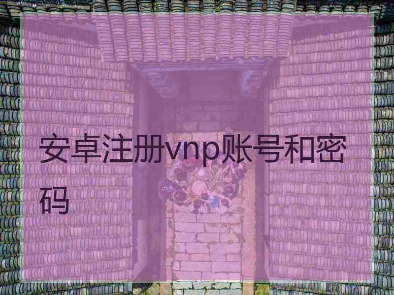 安卓注册vnp账号和密码