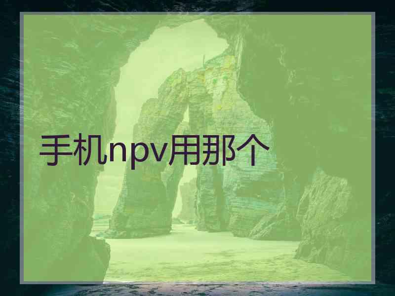 手机npv用那个