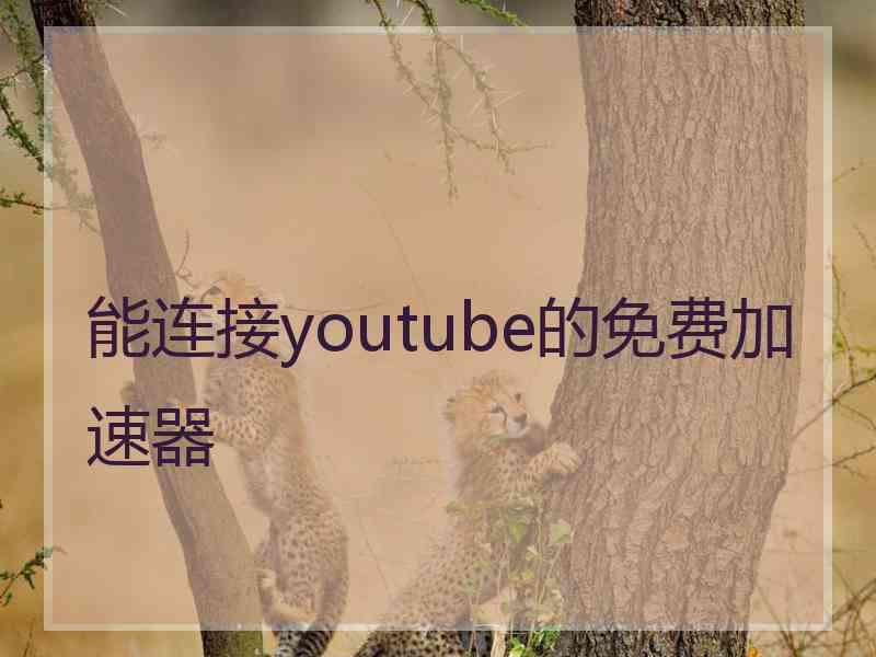 能连接youtube的免费加速器