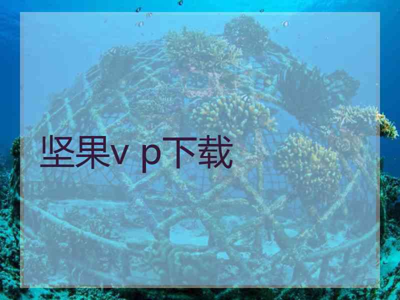 坚果v p下载