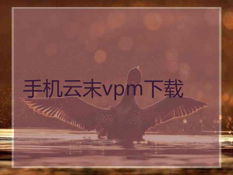 手机云末vpm下载