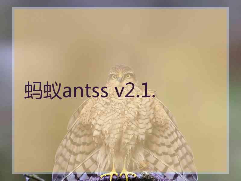 蚂蚁antss v2.1.